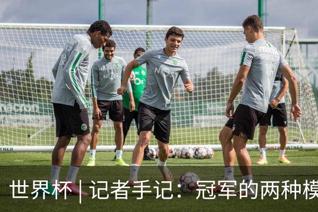 世界杯 | 记者手记：冠军的两种模样