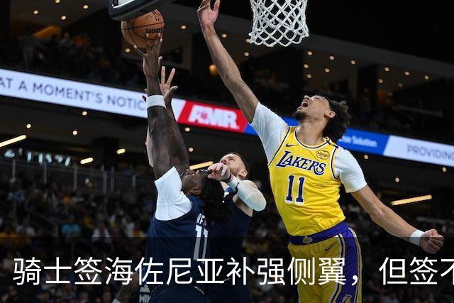 骑士签海佐尼亚补强侧翼，但签不下库明加就是失败